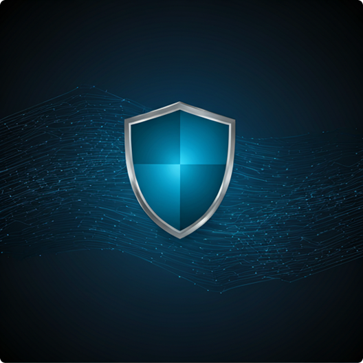 Security & Surveillance